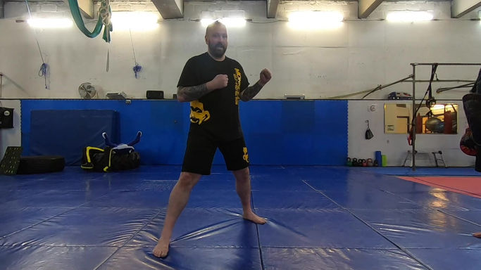 Unarmed Coaching Course - Plan A loops